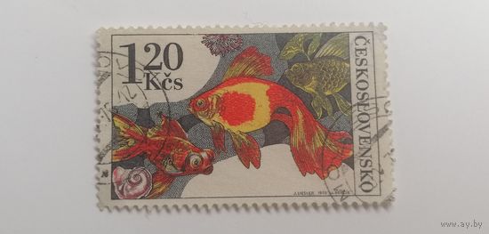 Чехословакия 1975. Аквариумные рыбки.