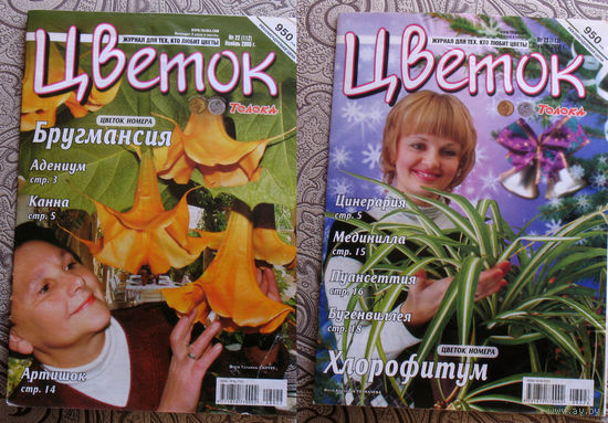 Журнал Цветок  номер 18 2006,  номера 1,2,3,4,5,6,7,8,9,11,12,13,14,15,16,17,18,19,20,21,22,23,24 2008