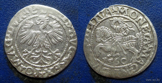 ВКЛ. Полугрош 1560 года. L/LITVA.