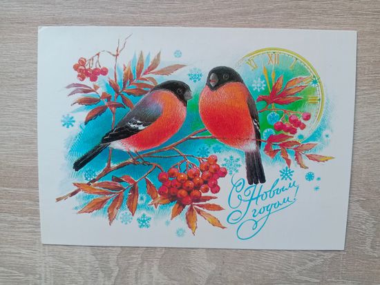 Иванов 1984,чистая