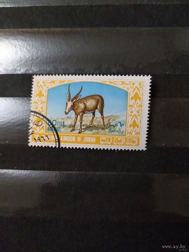 1967 Иордания концовка серии фауна (4-14)