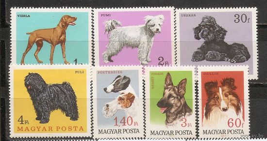 ФФ2 Венгрия 1967 Собаки