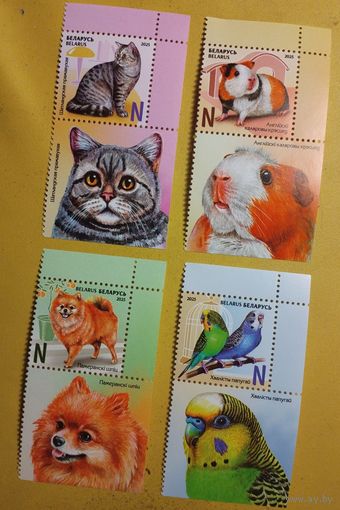 Детская филателия. Домашние питомцы Фауна Беларусь 2025 **