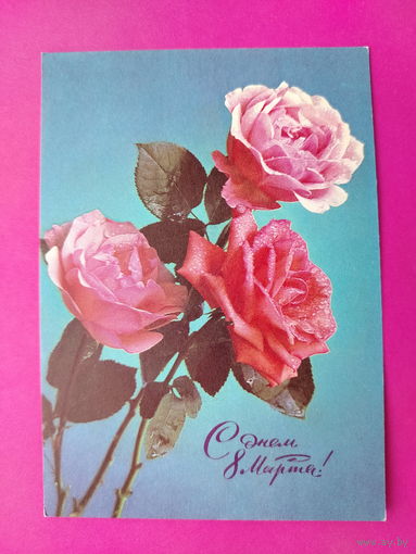 8 марта! Чистая. 1975 года. Костенко. 2287.