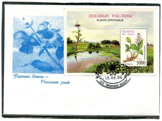 Беларусь 1996. КПД. Лекарственные растения. Блок