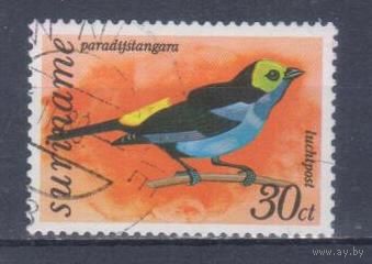 [1225] Суринам 1977. Фауна.Птицы. Гашеная марка.