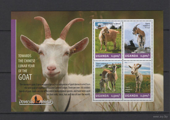 Уганда 2014** Коза