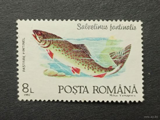 Румыния 1992. Рыбы. Американская палия
