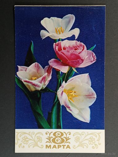 8 марта 1977 год