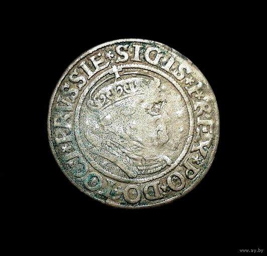 ПОЛЬСКОЙ ПРУССИИ ГРОШ 1534 ГОДА (ТОРУНЬ) ЖИГИМОНТ СТАРЫЙ. ПОРТРЕТ КОРОЛЯ В ЧЕПЧИКЕ С КОРОНОЙ.НЕ ЧИЩЕНА. ПО БЛИЦУ - ПОЧТОЙ БЕСПЛАТНО!