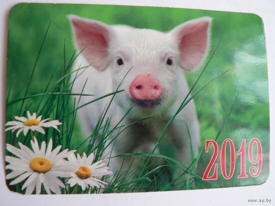 Календарик 2019 год