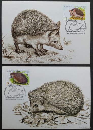 Беларусь 2012 КМ Ушастый ёж, Белогрудый ёж.