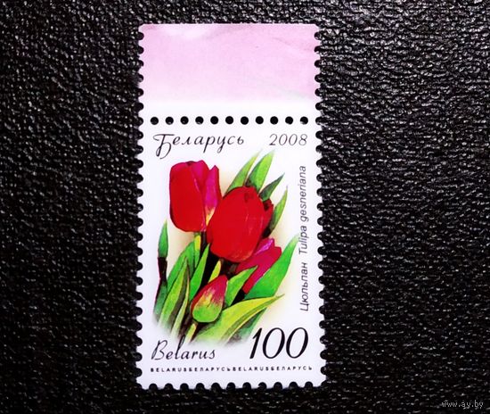 Марка Беларусь 2008 год Цветы