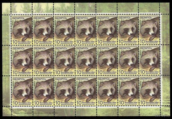 Беларусь. 2008. Стандарт. Енотовидная собака (10р) (з.104-2010) Лист