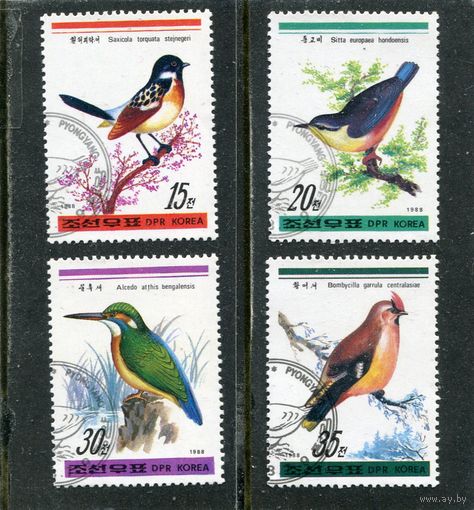 КНДР. Фауна. Птицы