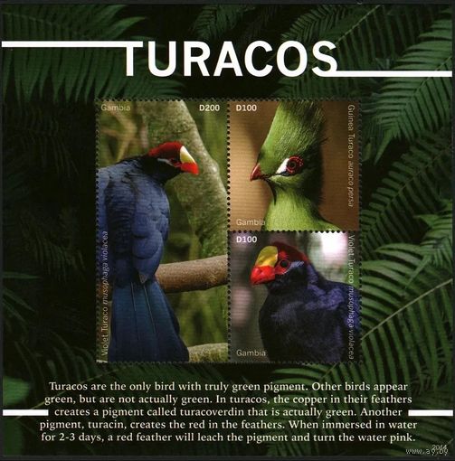 2020 Гамбия 7833-7835KL Птицы - Туракосы 20,00 евро