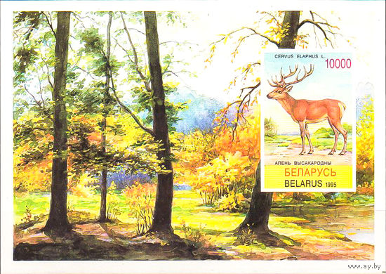 1995 БЕЛАРУСЬ   блок коллекционных марок Олень MNH