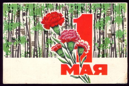 1977 год П.Орлов 1 мая 2