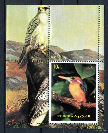 Фуджейра - 1972г. - Птицы - полная серия, MNH [Mi bl. 138 А] - 1 блок