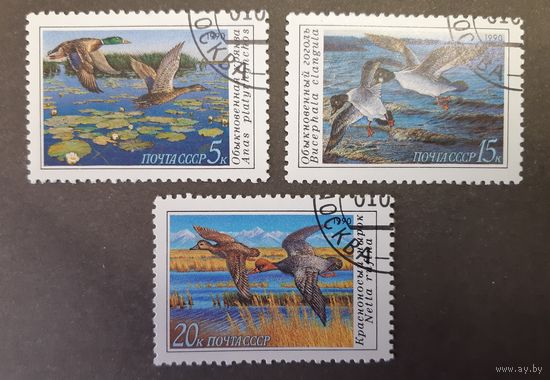 СССР. 1990 год. Фауна. Птицы. Утки. 3 марки