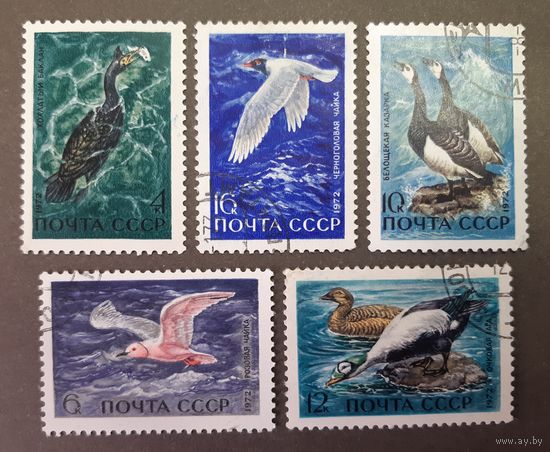 Марки. СССР. 1972 год. Фауна. Водоплавающие птицы (5 марок)