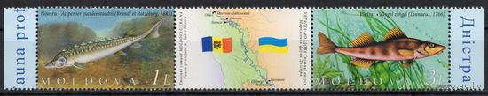 Молдова 2007. Рыбы. Совместный выпуск Украина-Молдова. 2 марки+купон (294)
