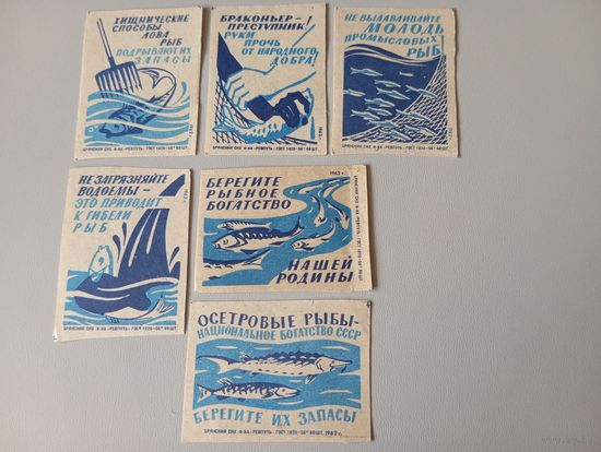 Спичечные этикетки ф.Ревпуть. Рыбоохрана. 1962 год