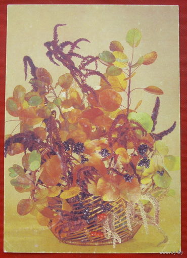 Цветы. Чистая. 1990 года. Шварц. 1152.