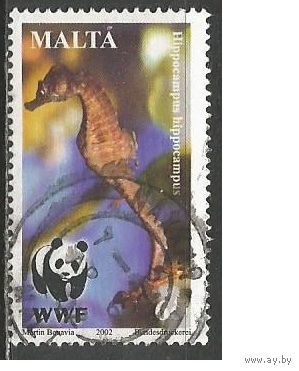 Мальта. Рыбы. Морской конёк. 2002г. Mi#1208.