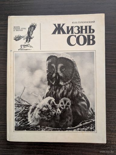 Жизнь сов | Жизнь наших птиц и зверей | Выпуск 1 | Птицы | Пукинский Ю.Б