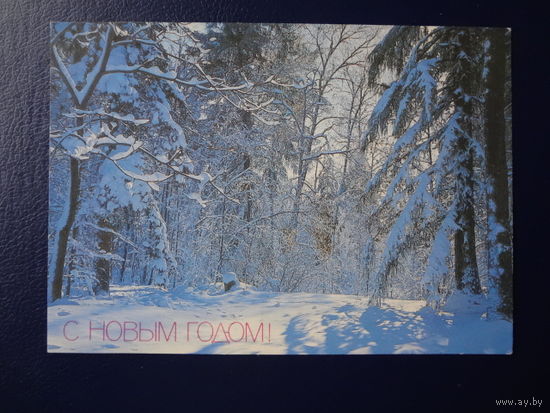С Новым годом!  1987 г.  Зимний солнечный день в лесу.  подписанная