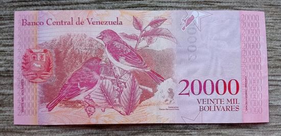 Werty71 Венесуэла 20000 боливаров 2017 UNC банкнота воробьи