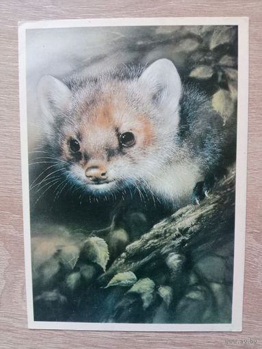 Исаков 1989,чистая