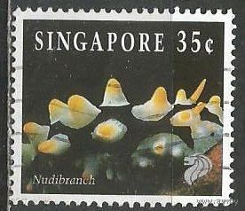 Сингапур. Молюск Филлидия. 1994г. Mi#714.