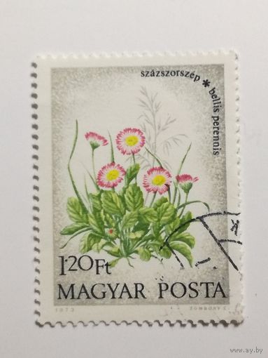 Венгрия 1973. Полевые цветы