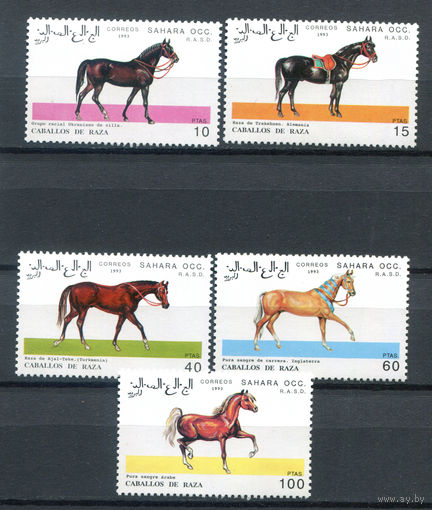 Западная Сахара - 1993г. - Лошади (2) - 5 марок - полная серия, MNH. #O-Se-Z-1-1