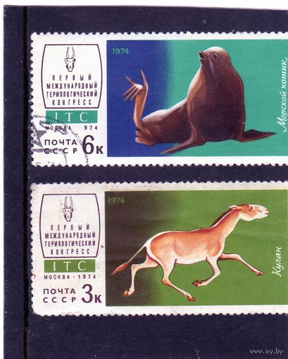 СССР.Флора СССР.1974.