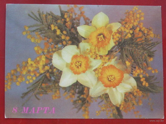8 марта! Чистая. 1989 года. Дергилева. 1023.