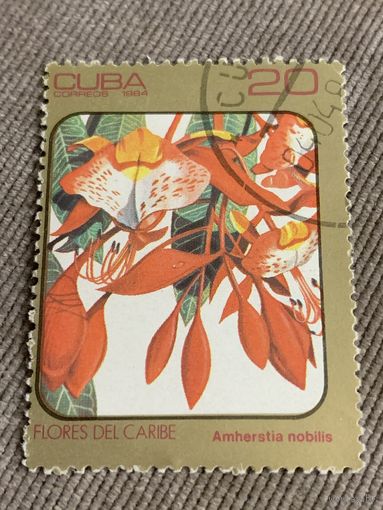 Куба 1984. Цветы. Amherstia Nobilis. Марка из серии