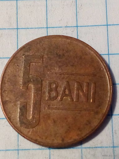 5 бани Румыния 2011 год