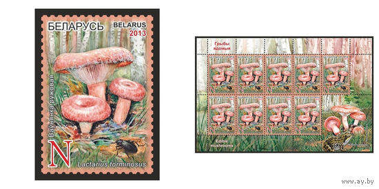 2013 БЕЛАРУСЬ  марка или малый лист "Волнушка розовая" MNH