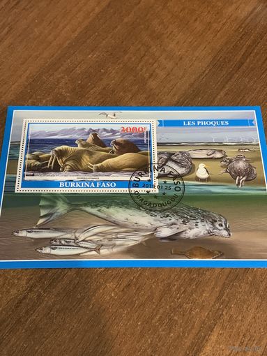 Буркина-Фасо 2019. Моржи. Блок