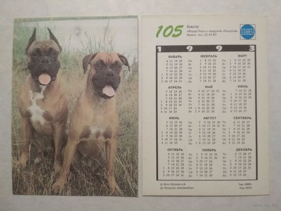 Карманный календарик. Собака.1993 год