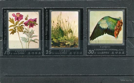 КНДР. Живопись Дюрера
