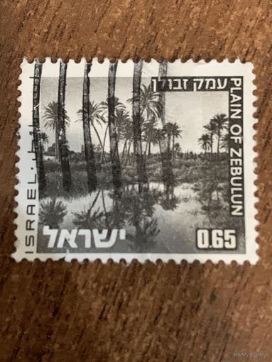 Израиль 1971. Достопримечательности Израиля. Марка из серии