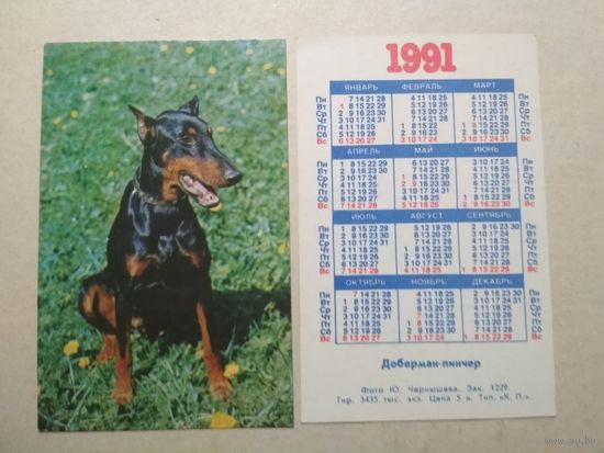 Карманный календарик. Собака. 1991 год