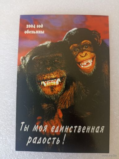 Животные, Обезьяны, 2004 год. Карманные календарики, Календарик, Календарь