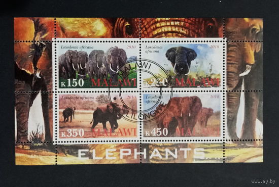 ЛИСТ ФАУНА животные  СТО