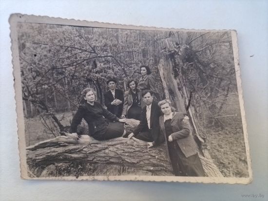 Фото в коллекцию