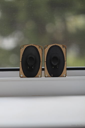 Маленькие динамики СССР пара 3ГДВ-1